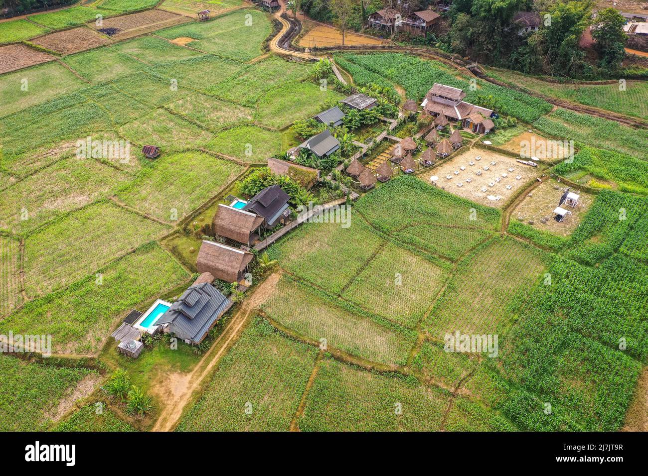 Aerial view of Houses in the middle of rice fields in Nan province, Thailand Stock Photo Alamy