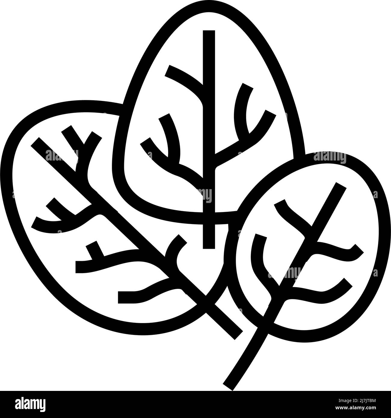 spinach plant line icon vector illustration Stock Vector Image & Art ...
