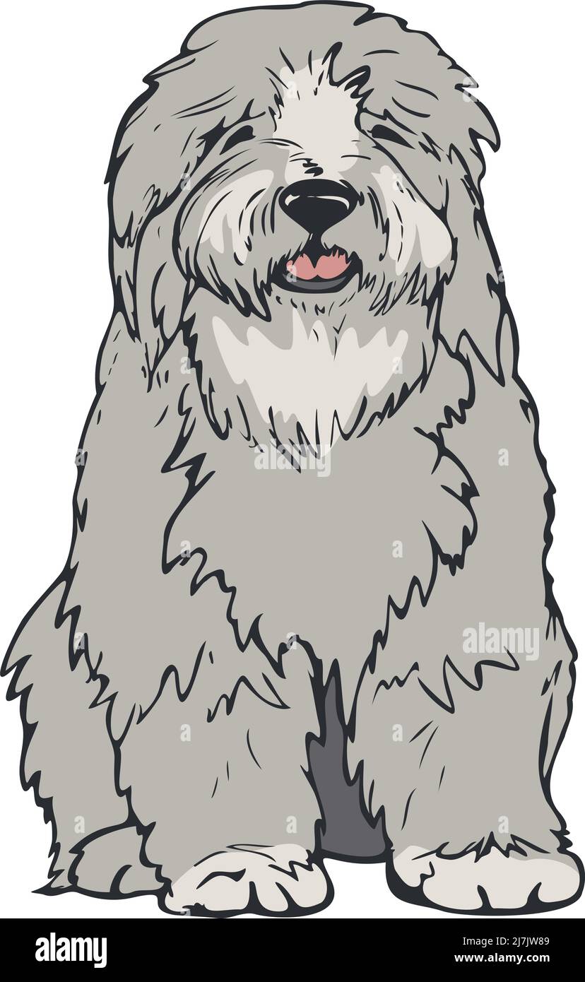 clipart sheepdog