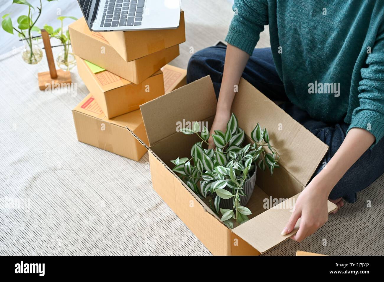 Shopping plants cardboard box hi-res stock photography and images - Alamy