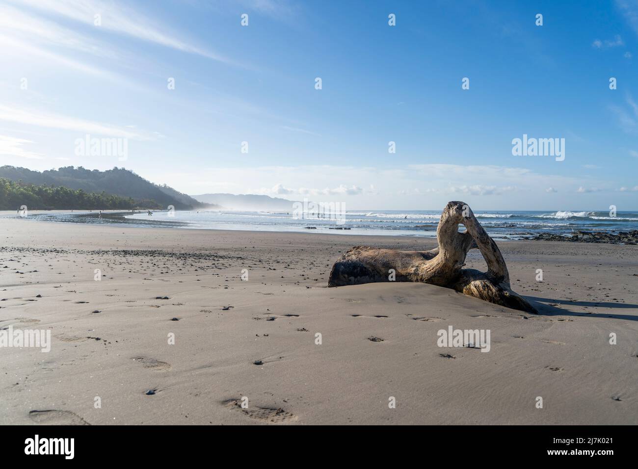 Beautiful empty beach with big peace of drift wood. Tropical exotic beach in Costa Rica background Stock Photo