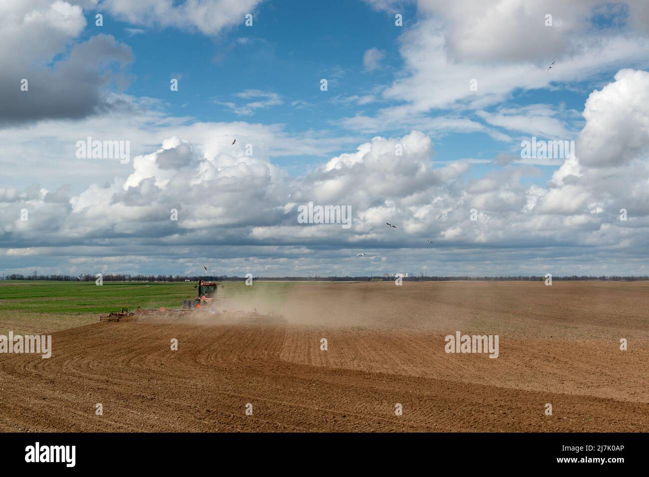 Tractor cultivating field in spring. Ukraine, Kyiv region Stock Photo Alamy
