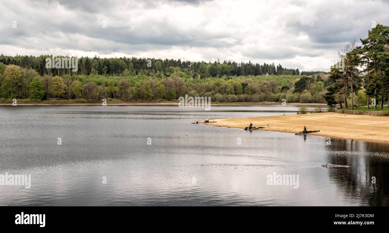 Fishing in Swinsty Reservoir, Harrogate, North Yorkshire, United Kingdom Stock Photo