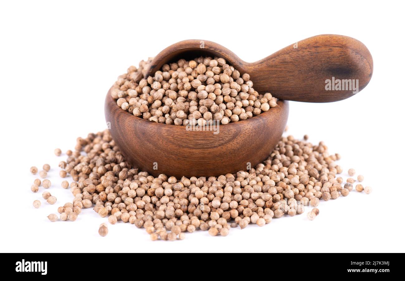 Coriander seeds in wooden bowl and spoon, isolated on white background ...