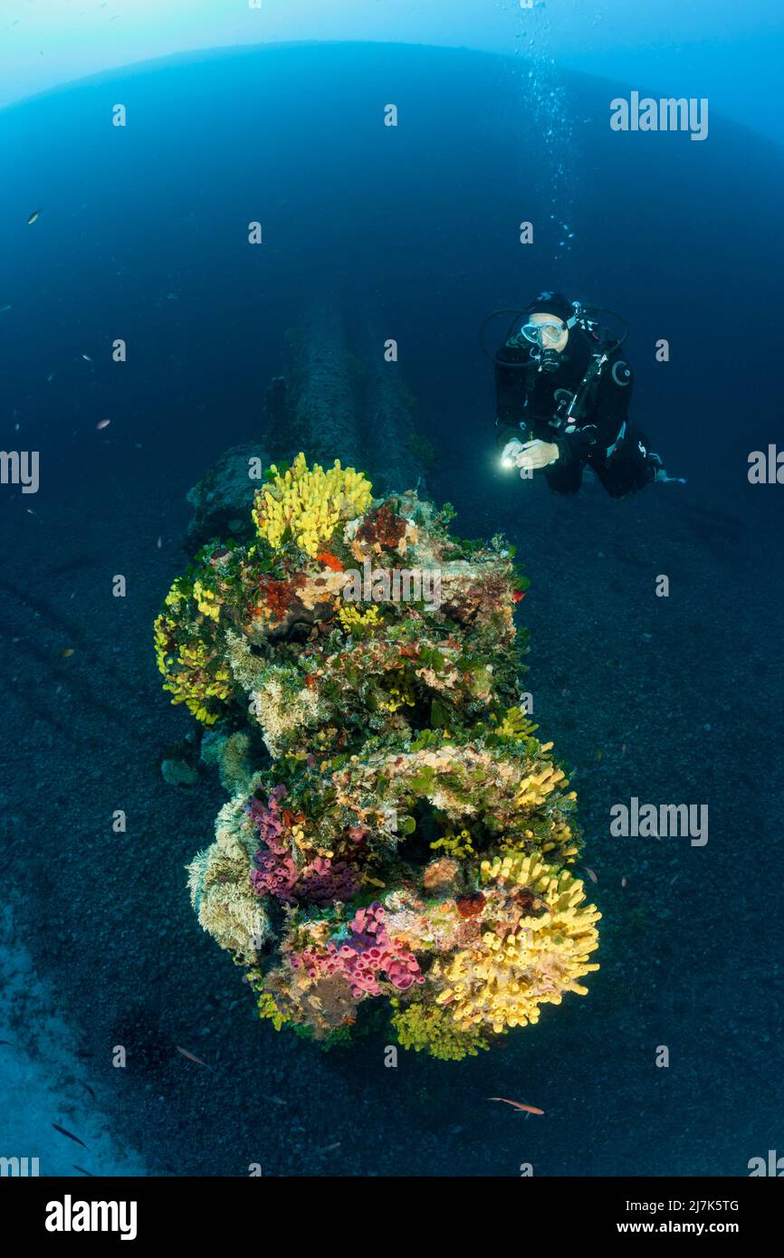 Scuba Diver at Vassilios Wreck, Vis Island, Mediterranean Sea, Croatia Stock Photo