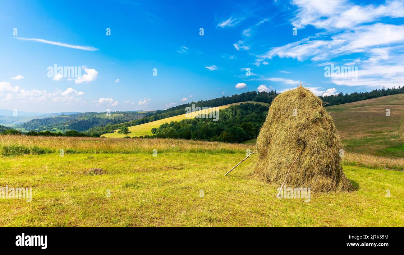 haystacks on the grassy field on the hill. beautiful rural landscape in carpathian mountains on a sunny summer day. fluffy clouds on the blue sky in e Stock Photo