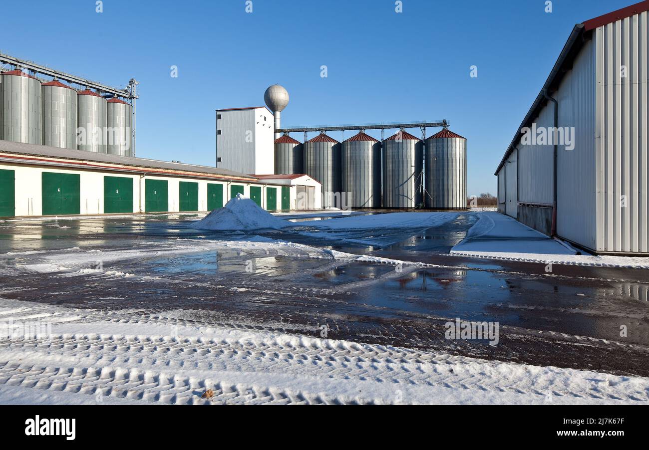 Beesenstedt Saalekreis landwirtschaftlicher Großbetrieb  im Winter 79554a erbaut Ende 20 Jh im Hintergrund runde Metallsilos und Kugelwasserturm ungar Stock Photo
