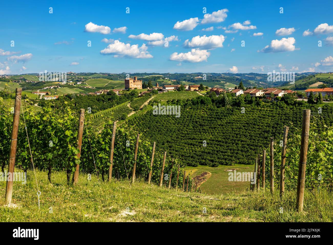 Green vineyards on the hills as small town under blue sky on background in Piedmont, Northern Italy. Stock Photo