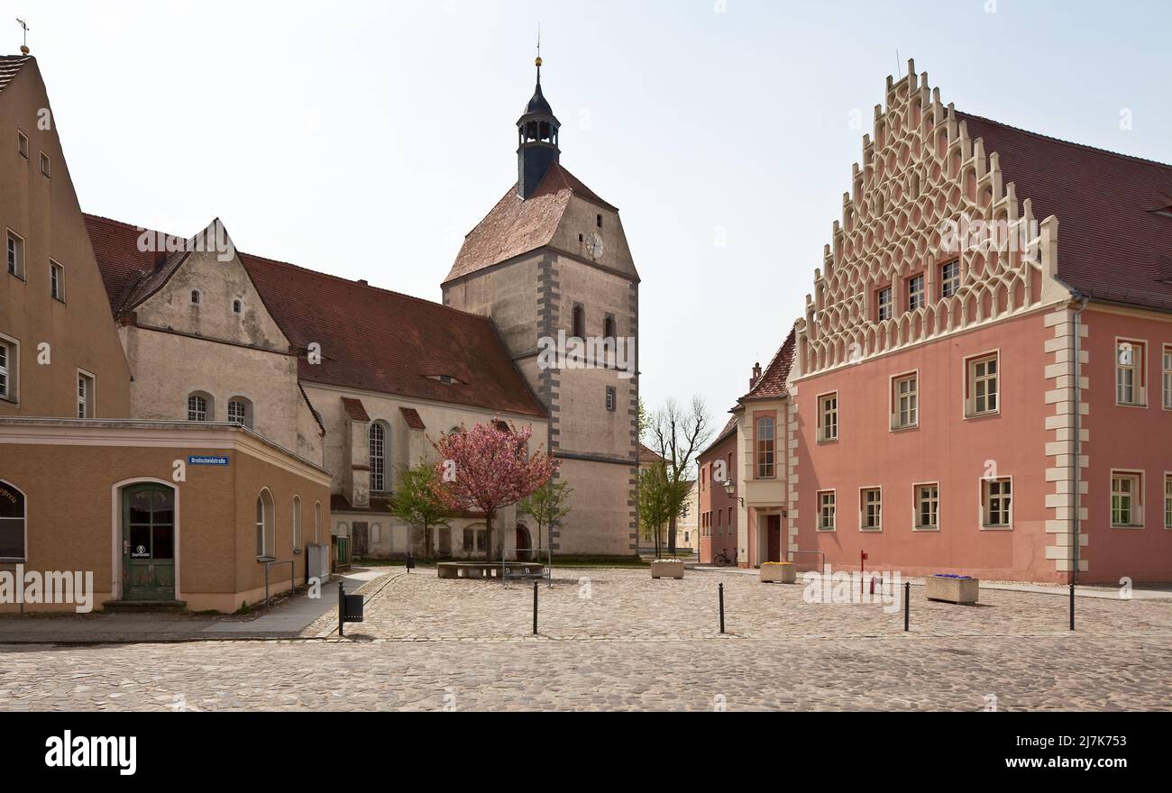 Mühlberg Elbe Stadtkirche St Marien 1487-1525 Teilansicht und Rathaus 1543-49 von Nordosten Teilansicht 75377 Stock Photo