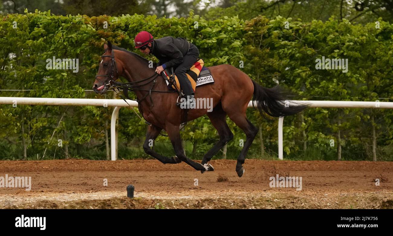 Aikhal is exercised at Ballydoyle racehorse training facility in County Tipperary, Ireland. Picture date: Monday May 9, 2022. Stock Photo
