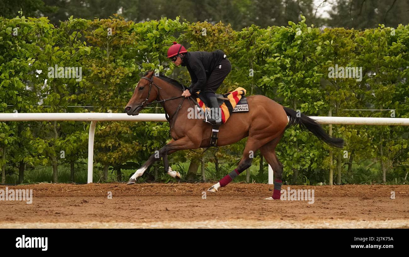 Concert Hall is exercised at Ballydoyle racehorse training facility in County Tipperary, Ireland. Picture date: Monday May 9, 2022. Stock Photo