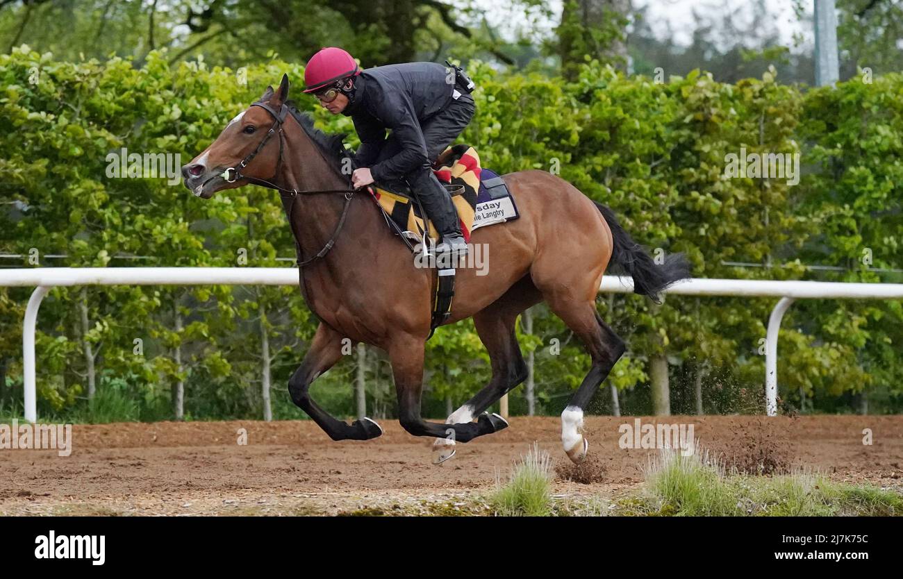 Tuesday is exercised at Ballydoyle racehorse training facility in County Tipperary, Ireland. Picture date: Monday May 9, 2022. Stock Photo