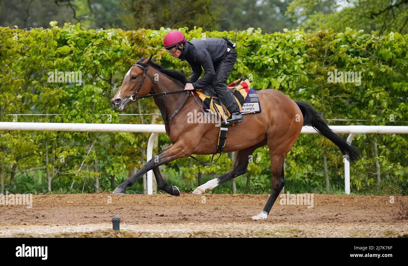 Tuesday is exercised at Ballydoyle racehorse training facility in County Tipperary, Ireland. Picture date: Monday May 9, 2022. Stock Photo