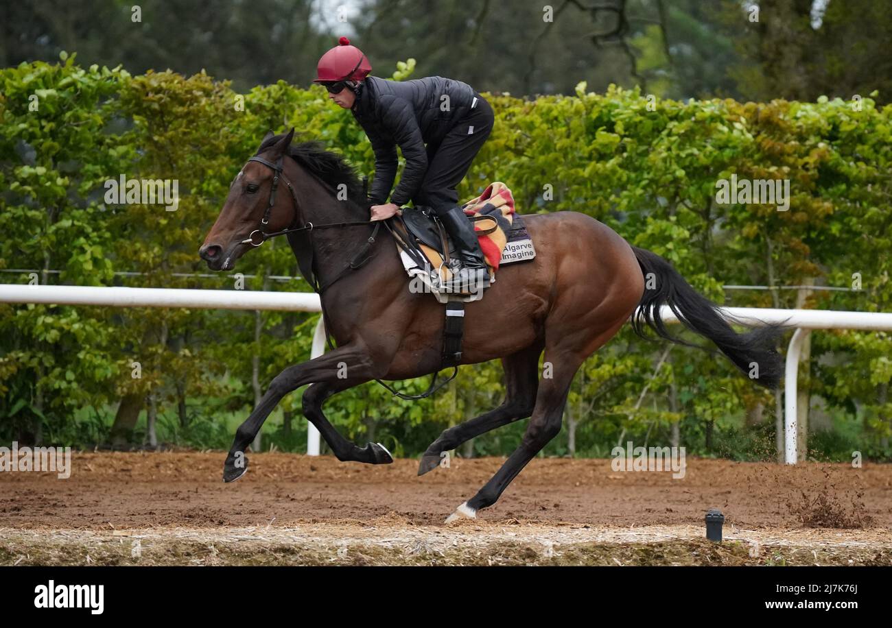 The Algarve is exercised at Ballydoyle racehorse training facility in County Tipperary, Ireland. Picture date: Monday May 9, 2022. Stock Photo