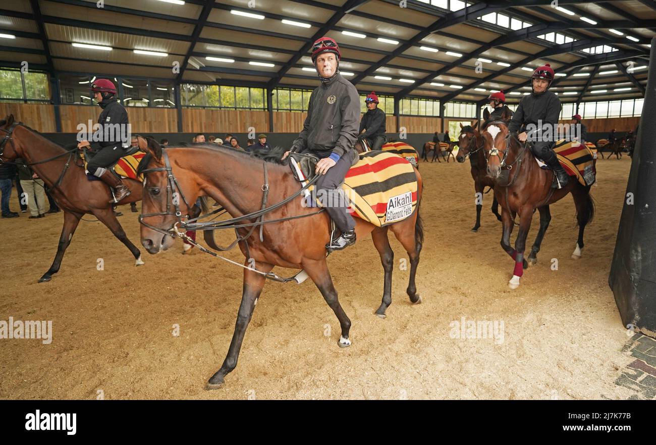 Aikhal is exercised at Ballydoyle racehorse training facility in County Tipperary, Ireland. Picture date: Monday May 9, 2022. Stock Photo