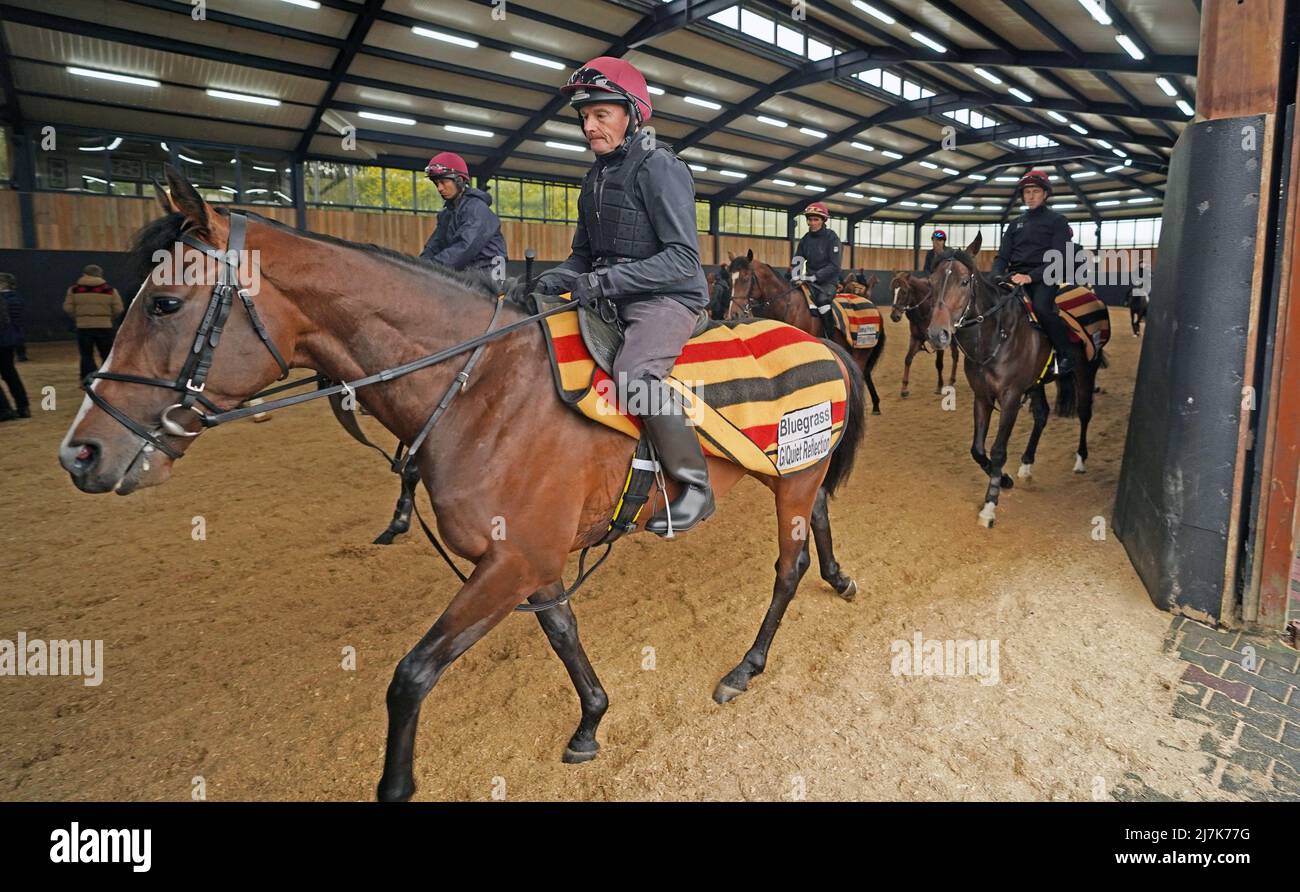 Bluegrass is exercised at Ballydoyle racehorse training facility in County Tipperary, Ireland. Picture date: Monday May 9, 2022. Stock Photo
