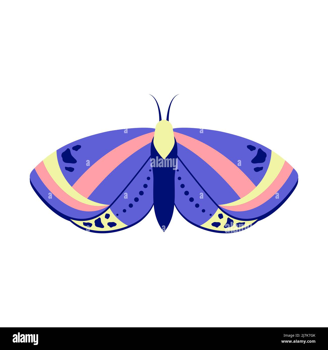 Butterfly in flat style Stock Vector Image & Art - Alamy