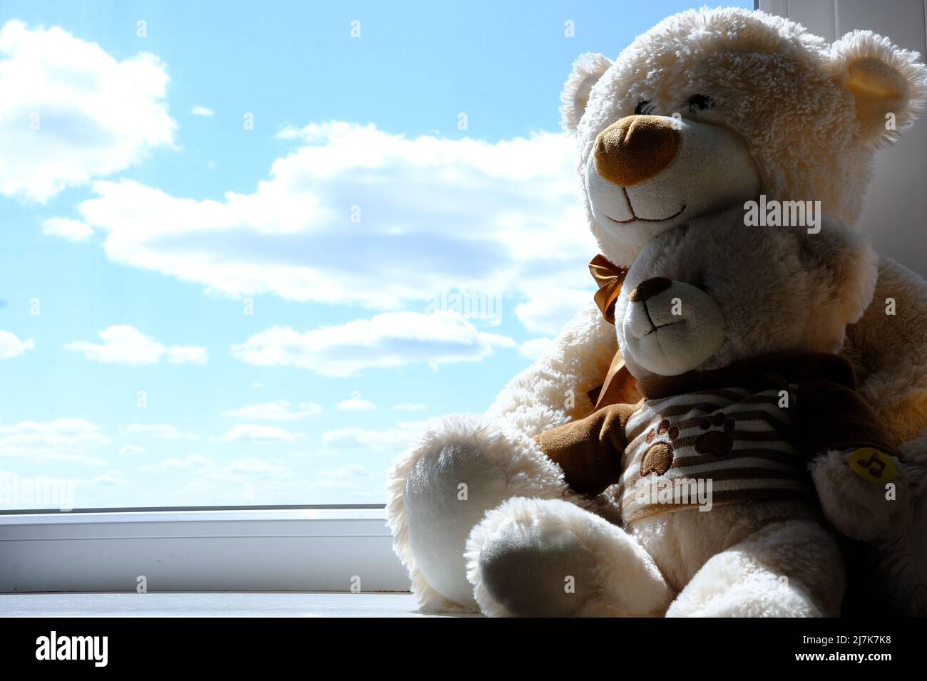 Bear dolls. View from high-rise building glass window. White bear sitting and looking at intside apartment, narrow space and blue sky. White clouds. Stock Photo