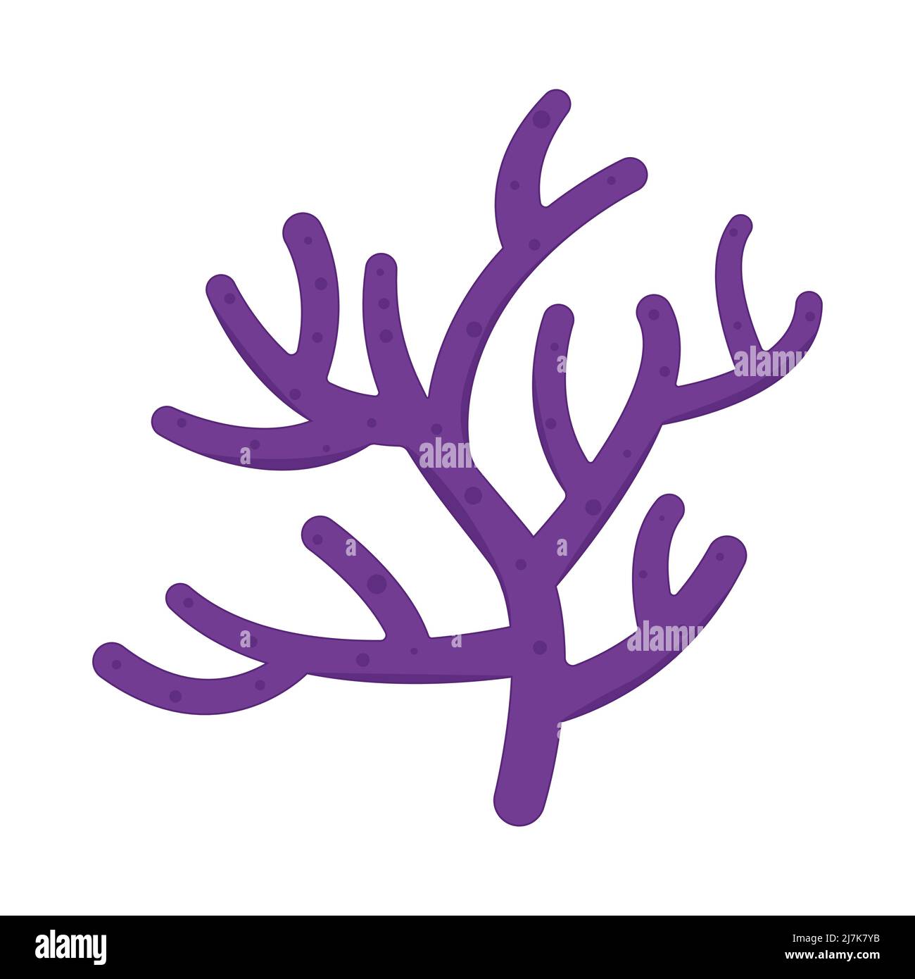 Aquarium seaweed isolated on white background. Sea plants ocean algae Stock Vector Image Art Alamy