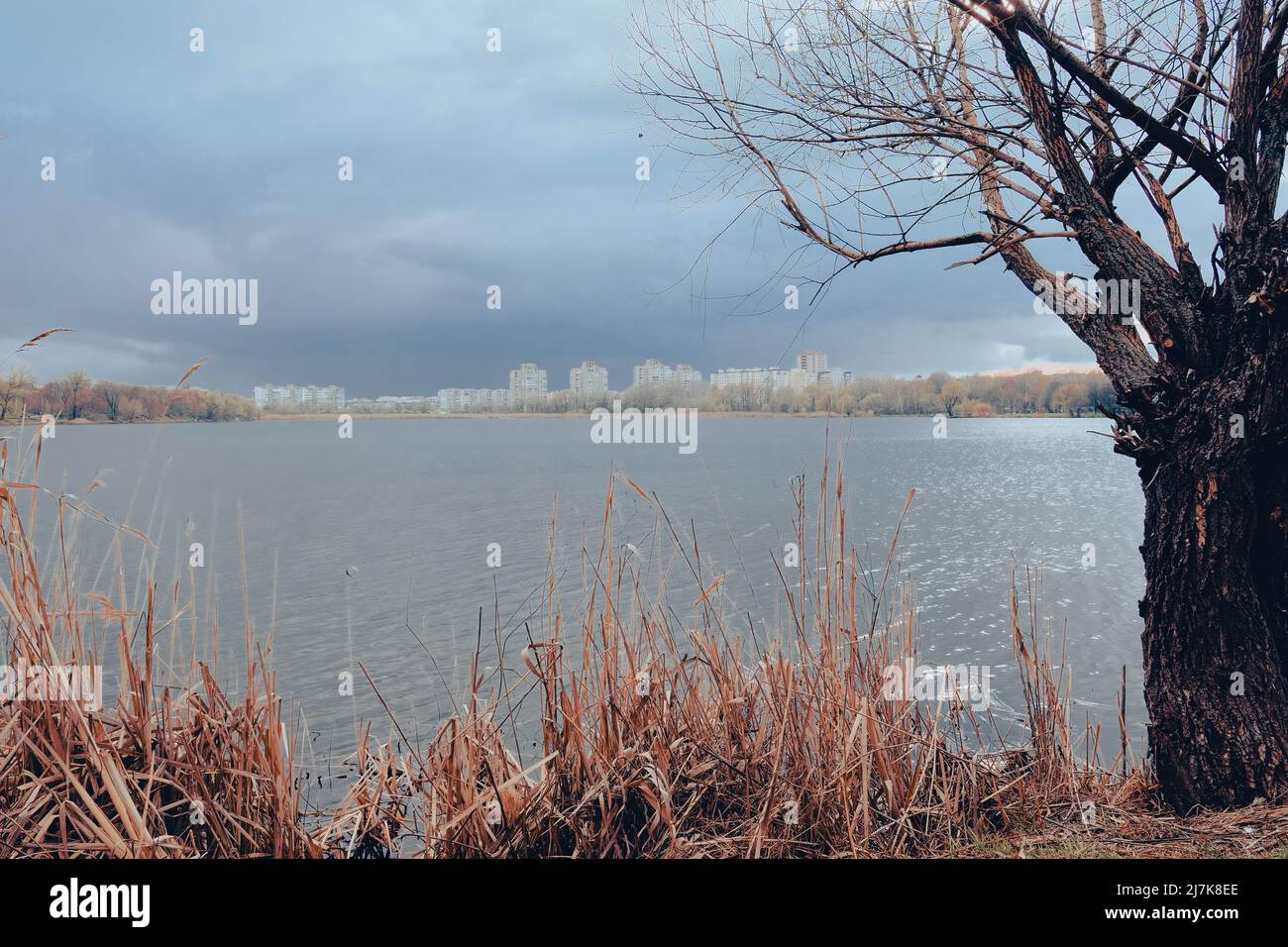Beautifull aerial view to the Sumy and lake Cheha. Water landscape with city in cloudy day with old tree and reed. Stock Photo