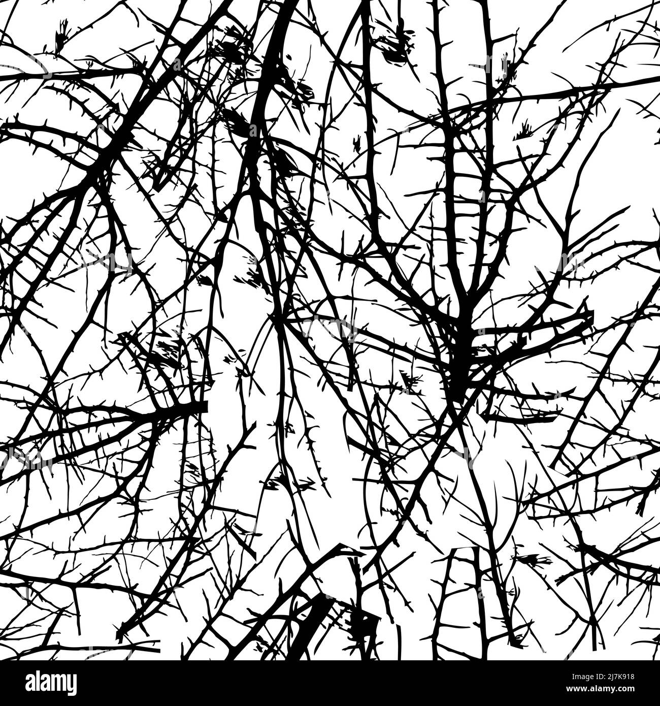 Seamless pattern of tree branches. Vector illustration Stock Vector