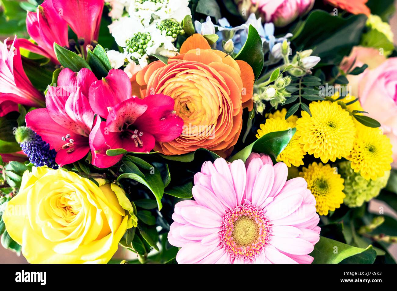 Flower bouquet in summer; sommerlicher blumenstrauß Stock Photo Alamy