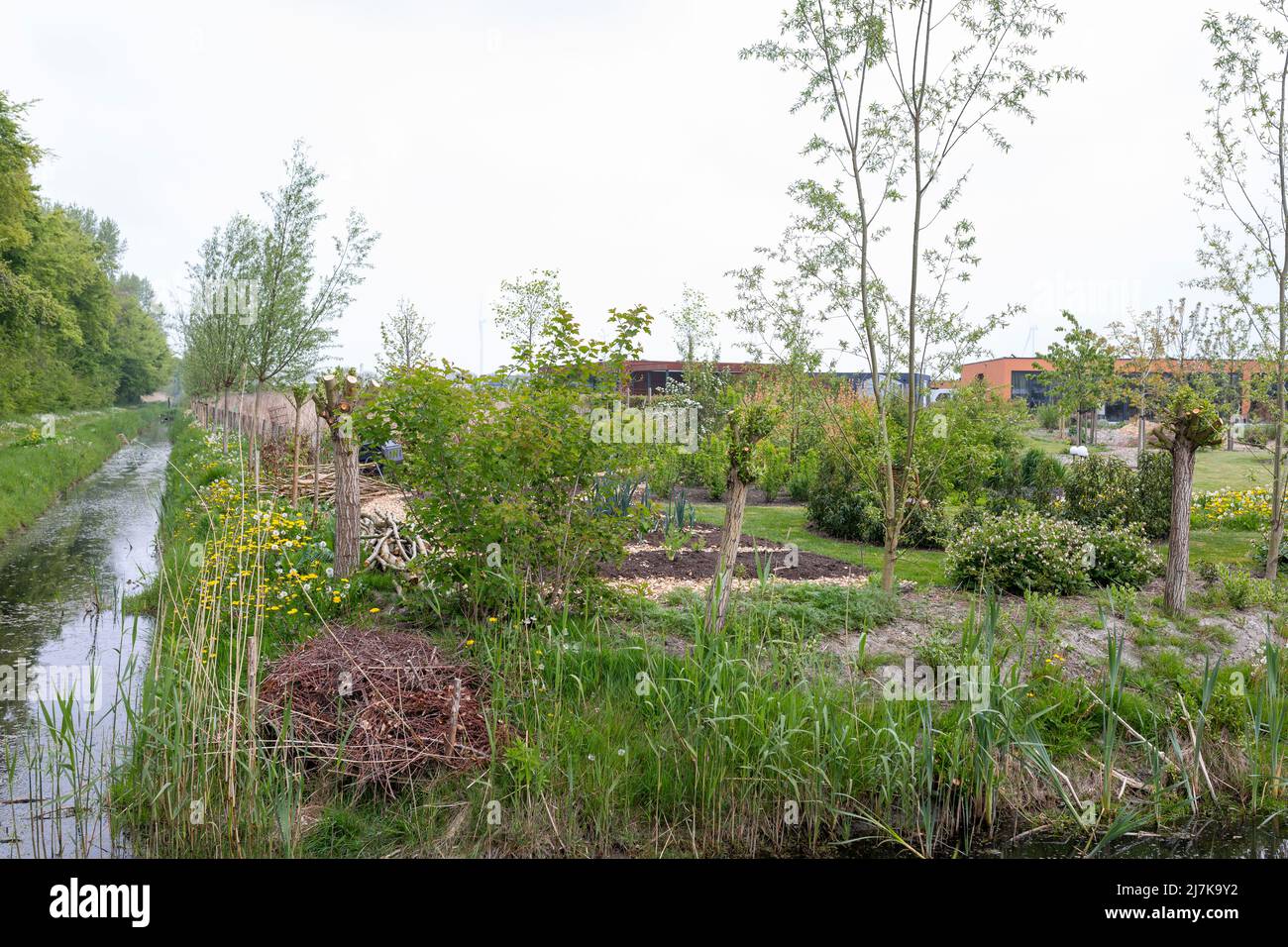 Perculture garden at Oosterwold eco village near Almere in the Netherlands Stock Photo