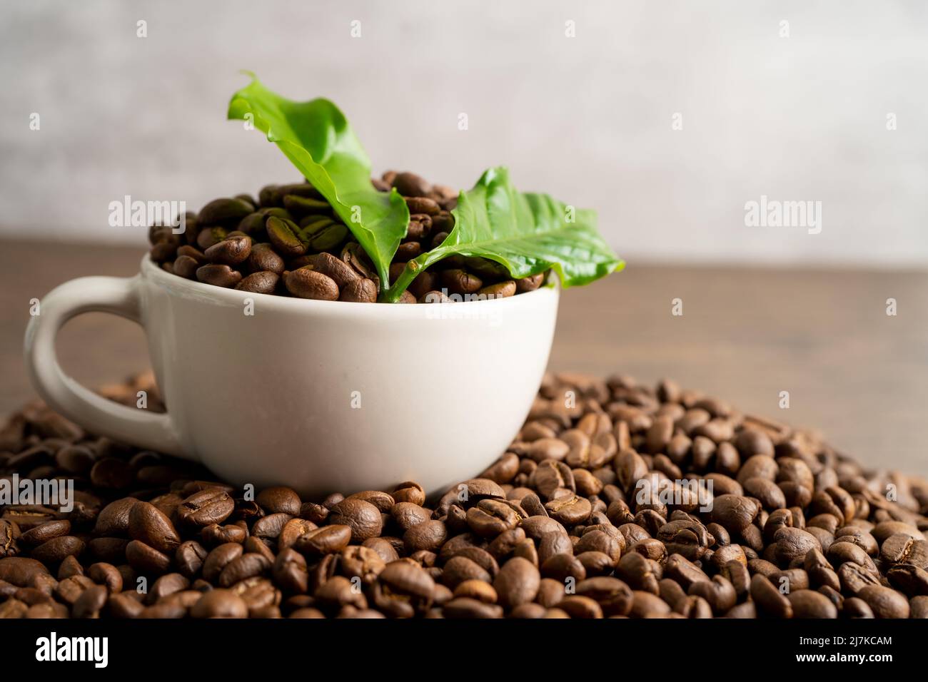 Coffee bean medium roasted in  a cup with leaf in fresh morning. Stock Photo