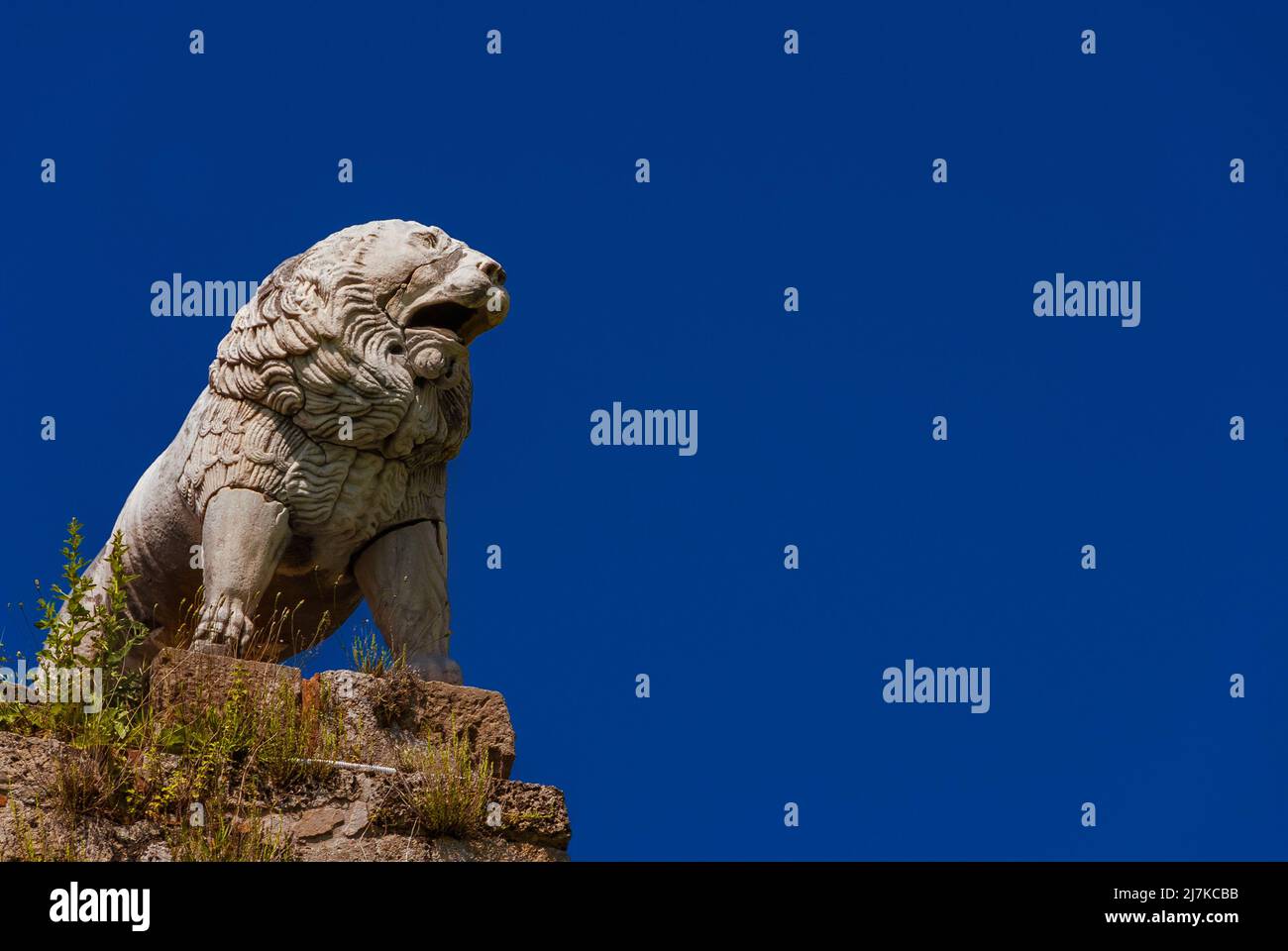 The Lion of Pisa, an ancient etruscan statue at the top of city ancient walls (with blue sky and copy space) Stock Photo