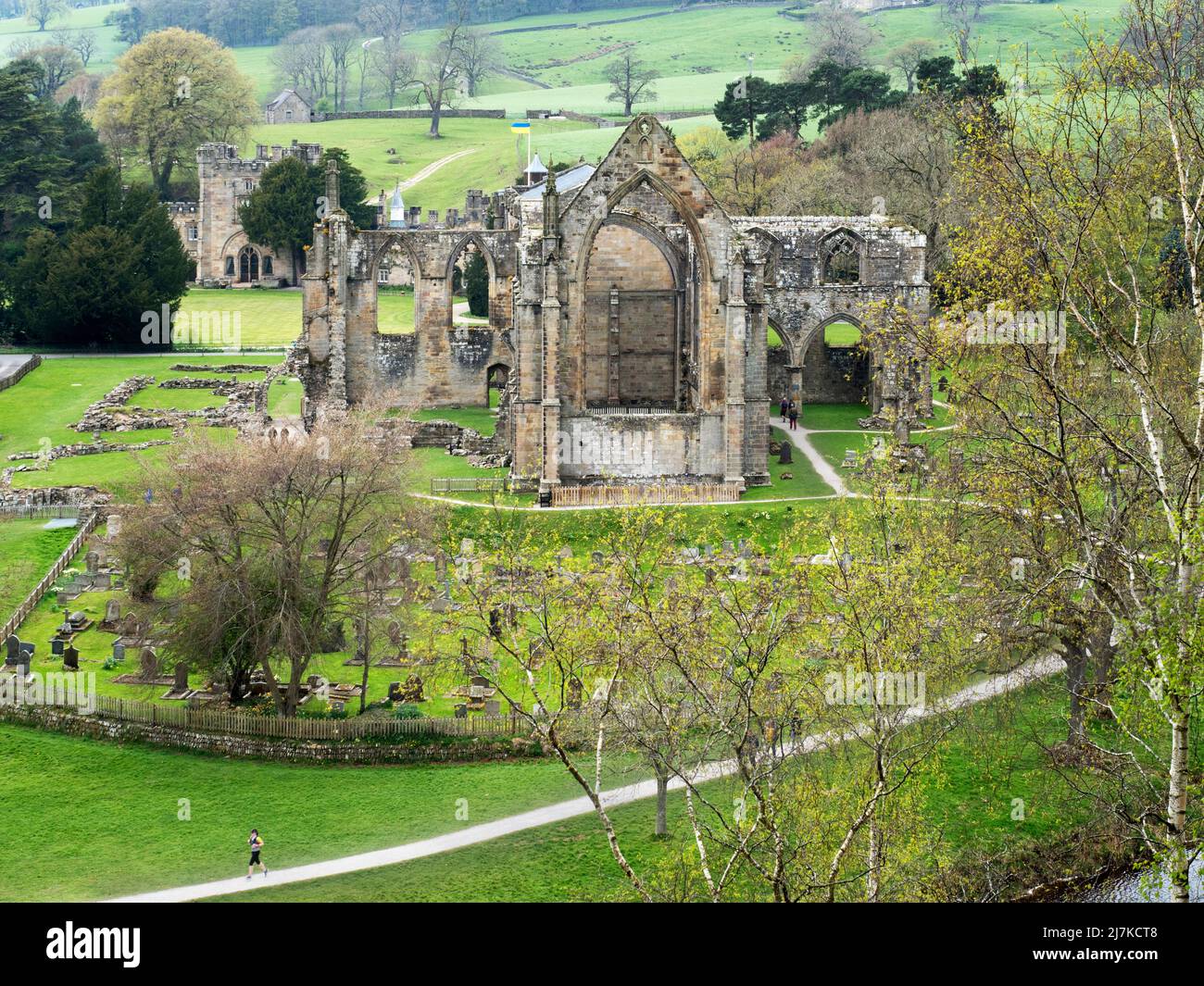 Spring foliage around the ruins of Bolton Priory in the Wharfe valley Bolton Abbey North Yorkshire England Stock Photo