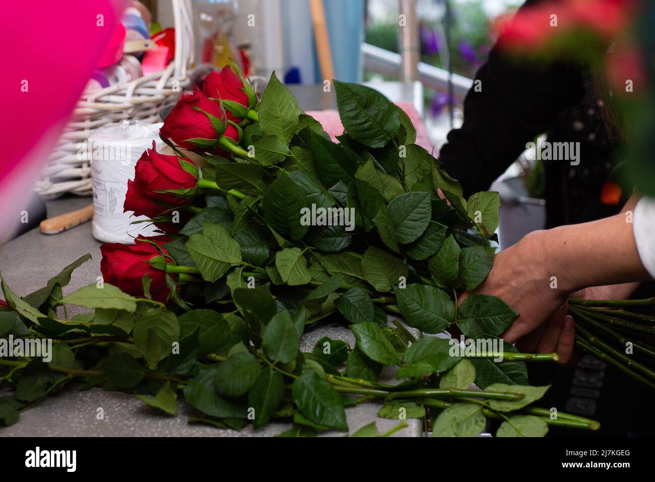 Florist at work. Close-up female hands cut roses Woman making a bouquet ...