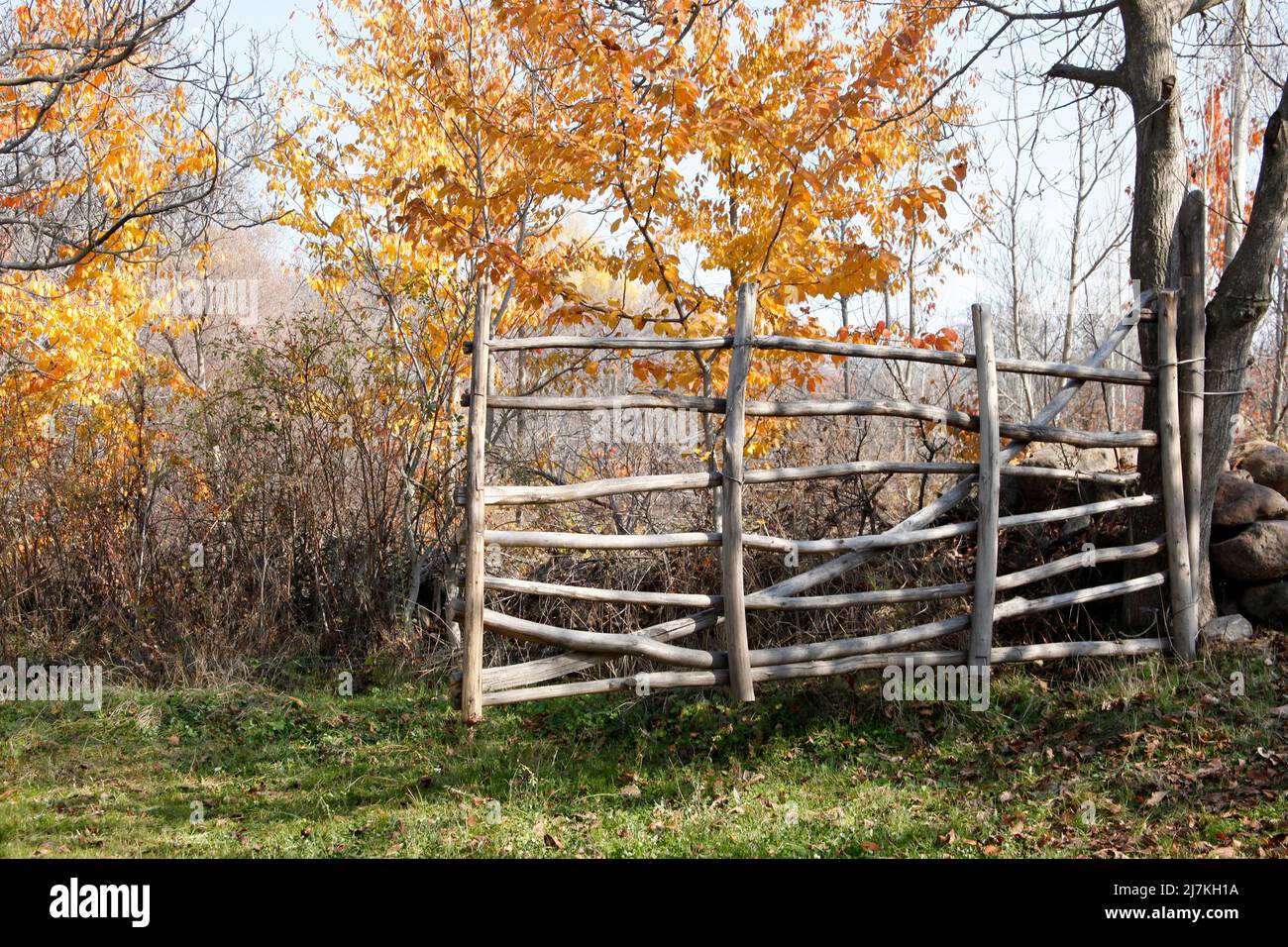 Wooden fence and autumn leaves Stock Photo - Alamy