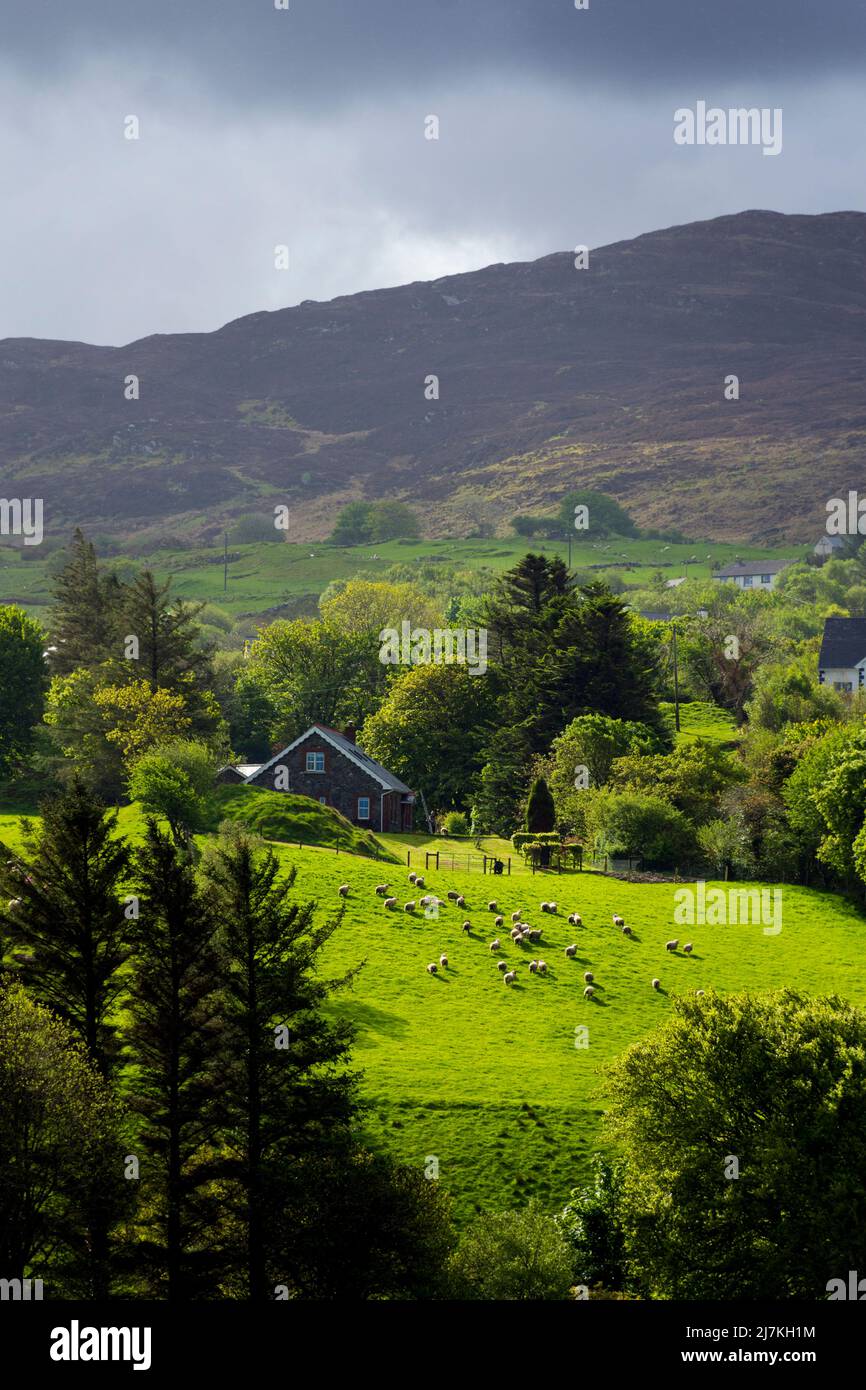 Small sheep farm in the hills of County Donegal, Ireland Stock Photo