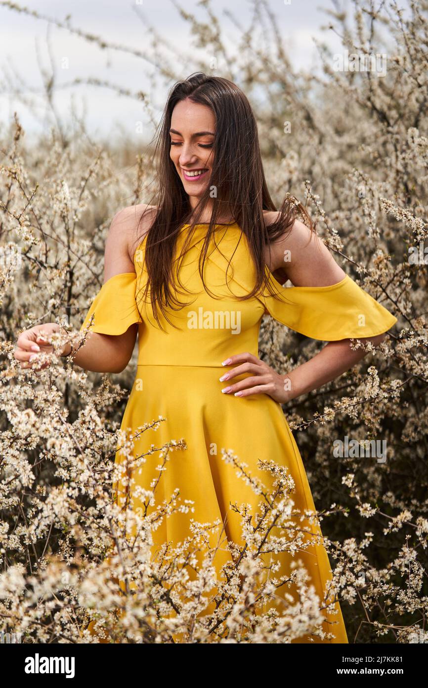 Portrait of a beautiful young woman in yellow dress by a blackthorn ...