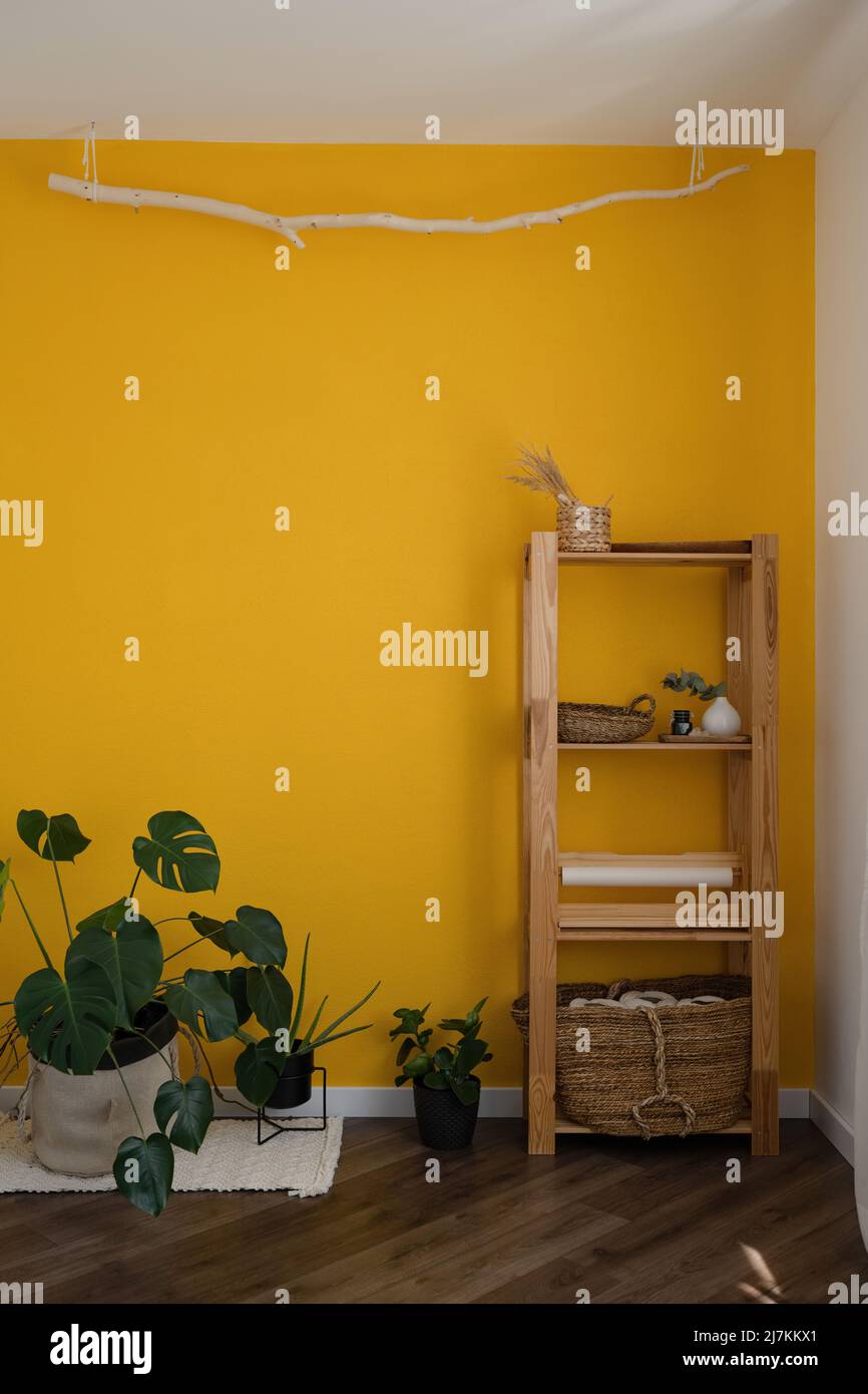 Wooden shelf with houseplant and baskets in composition with yellow ...