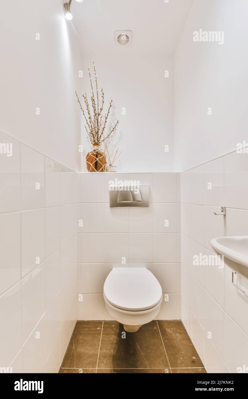 White ceramic toilet placed at white tiled wall with decorative dried flowers in light stylish bathroom with glowing lights at home near sink Stock Photo