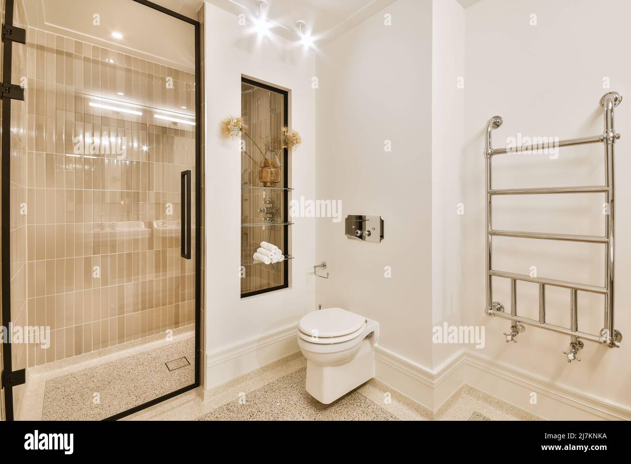 Creative bathroom with shower cabin and ceramic toilet bowl in modern ...