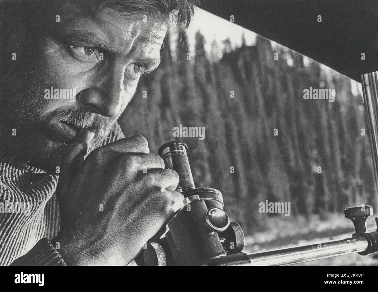 LETTER NEVER SENT 1960 DIRECTED BY MIKHAIL KALATOZOV REVIEWS FILM visual data 5