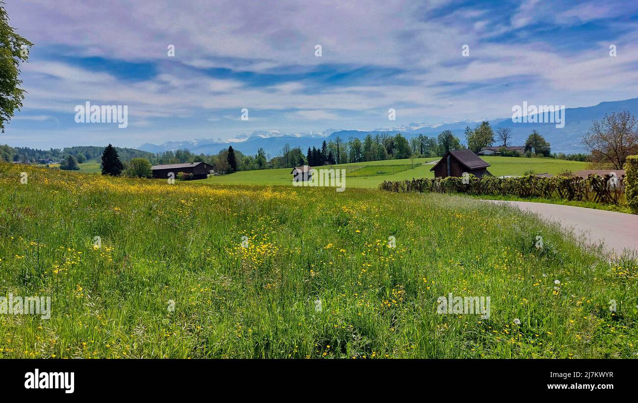 RURAL LANDSCAPE ABOVE MANNEDORF, ZURICH, SWITZERLAND Stock Photo