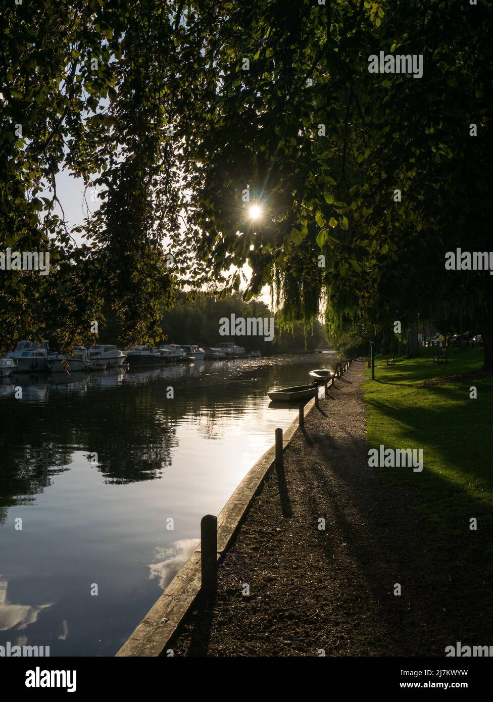 The Norfolk Broads on The River Yare with moored boats and sun
