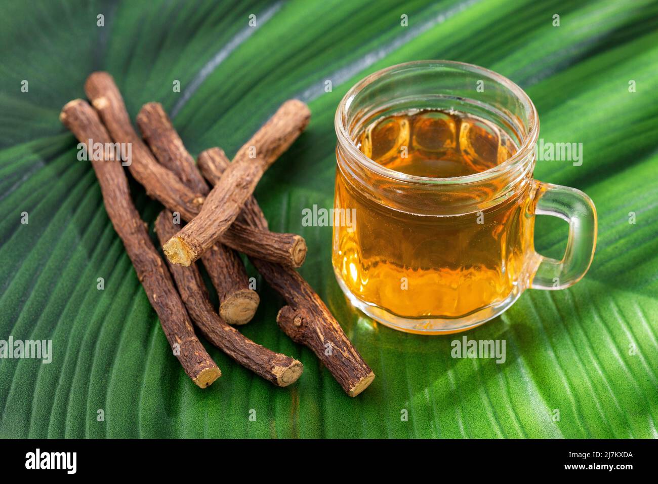 Licorice tea cup and root pieces Glycyrrhiza glabra Stock Photo Alamy