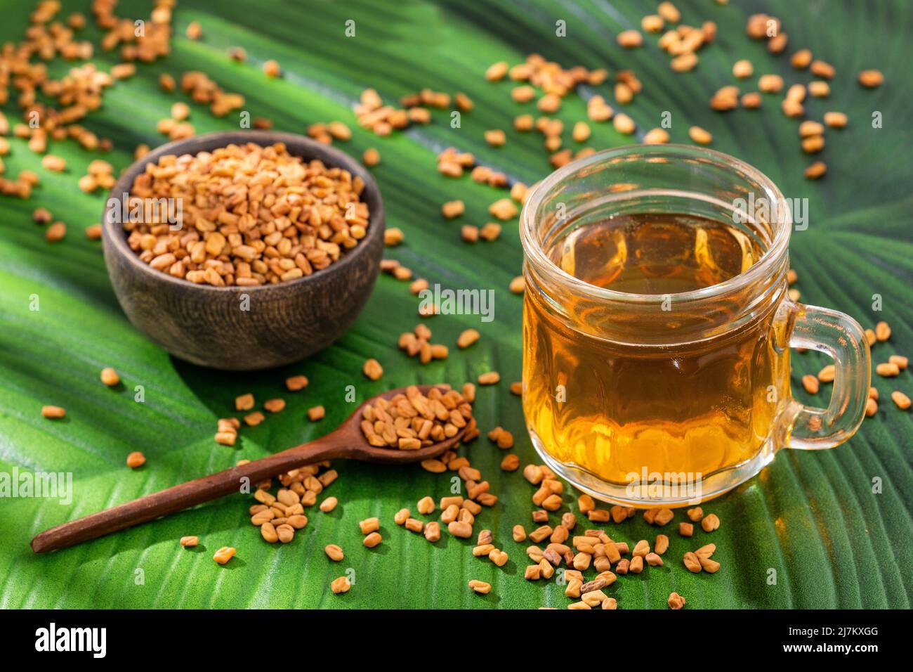 Fenugreek Tea Cup Trigonella foenumgraecum. Healthy food Stock Photo