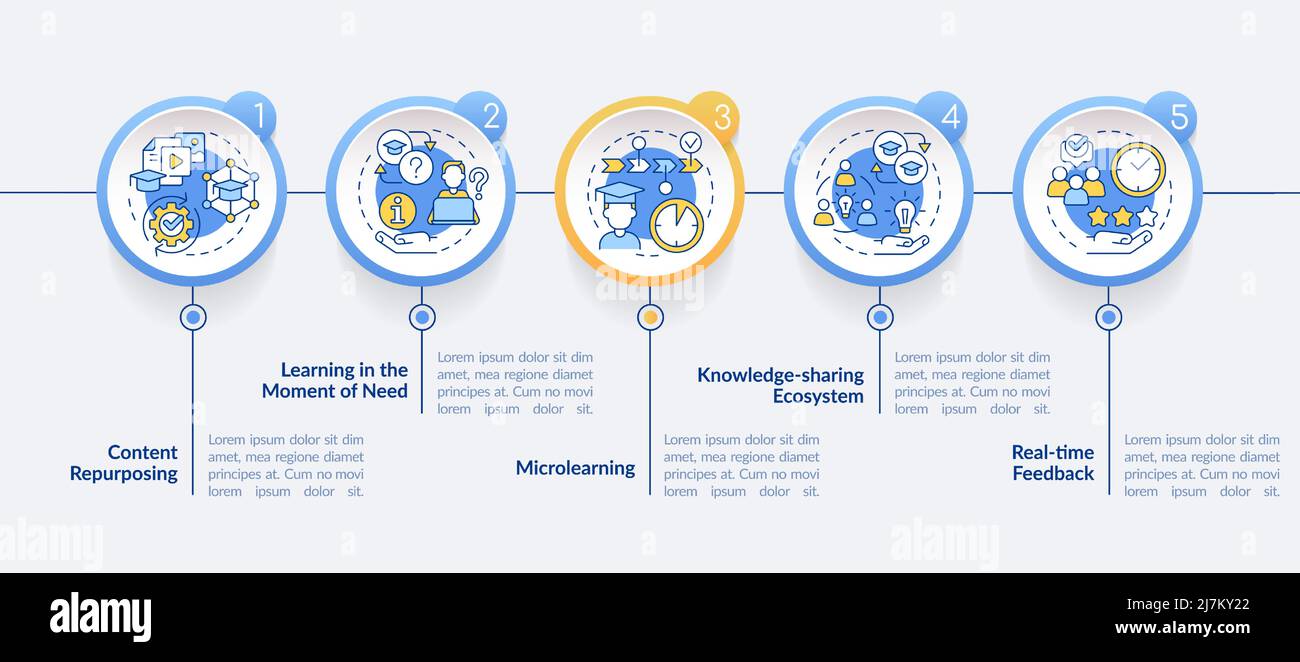 Top skills to learn circle infographic template stock vector image