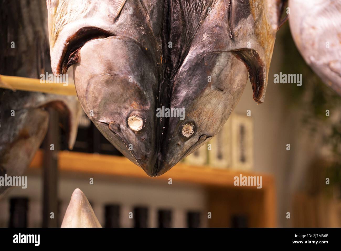 Dried fish at the market detail Stock Photo Alamy