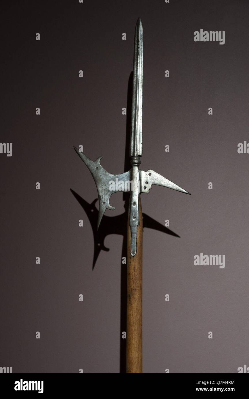 European Medieval Renaissance Weapons Lances 3D model 3D printable