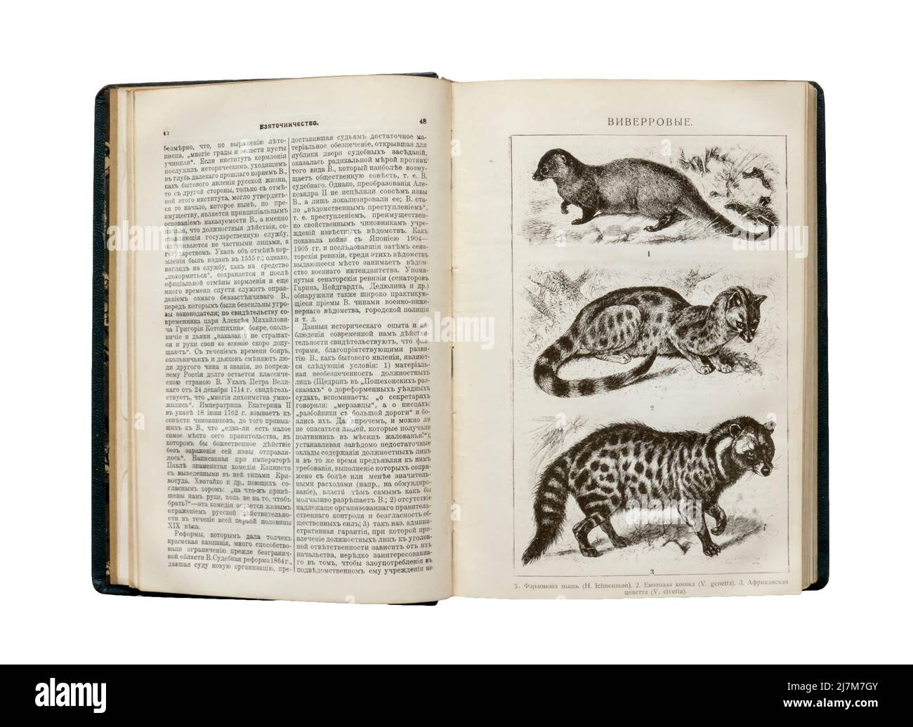 The Granat Encyclopedic Dictionary, Vol. 10, first published in 1910-1948. Stock Photo