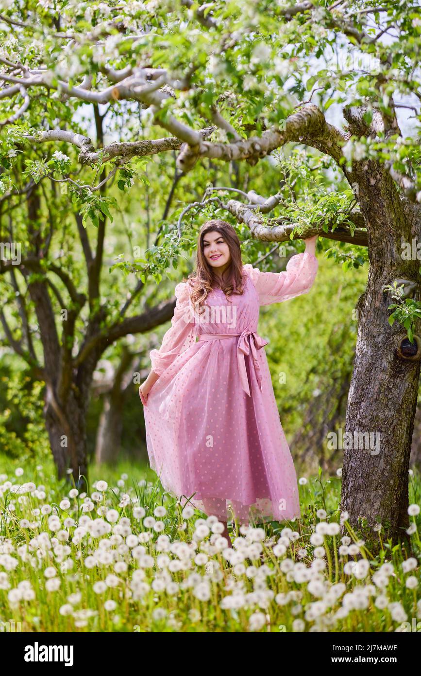 Next apple dress top
