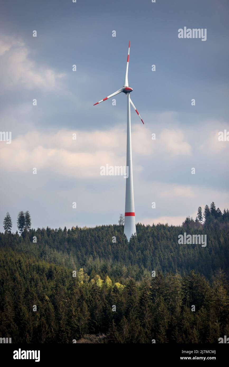 Hilchenbach, North Rhine-Westphalia, Germany - Wind turbine in the forest. Forest dieback in the district of Siegen-Wittgenstein in the Sauerland, dro Stock Photo