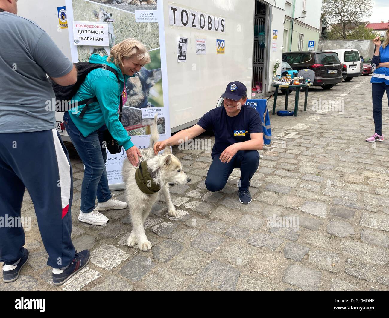 Chicken inspector hires stock photography and images Alamy