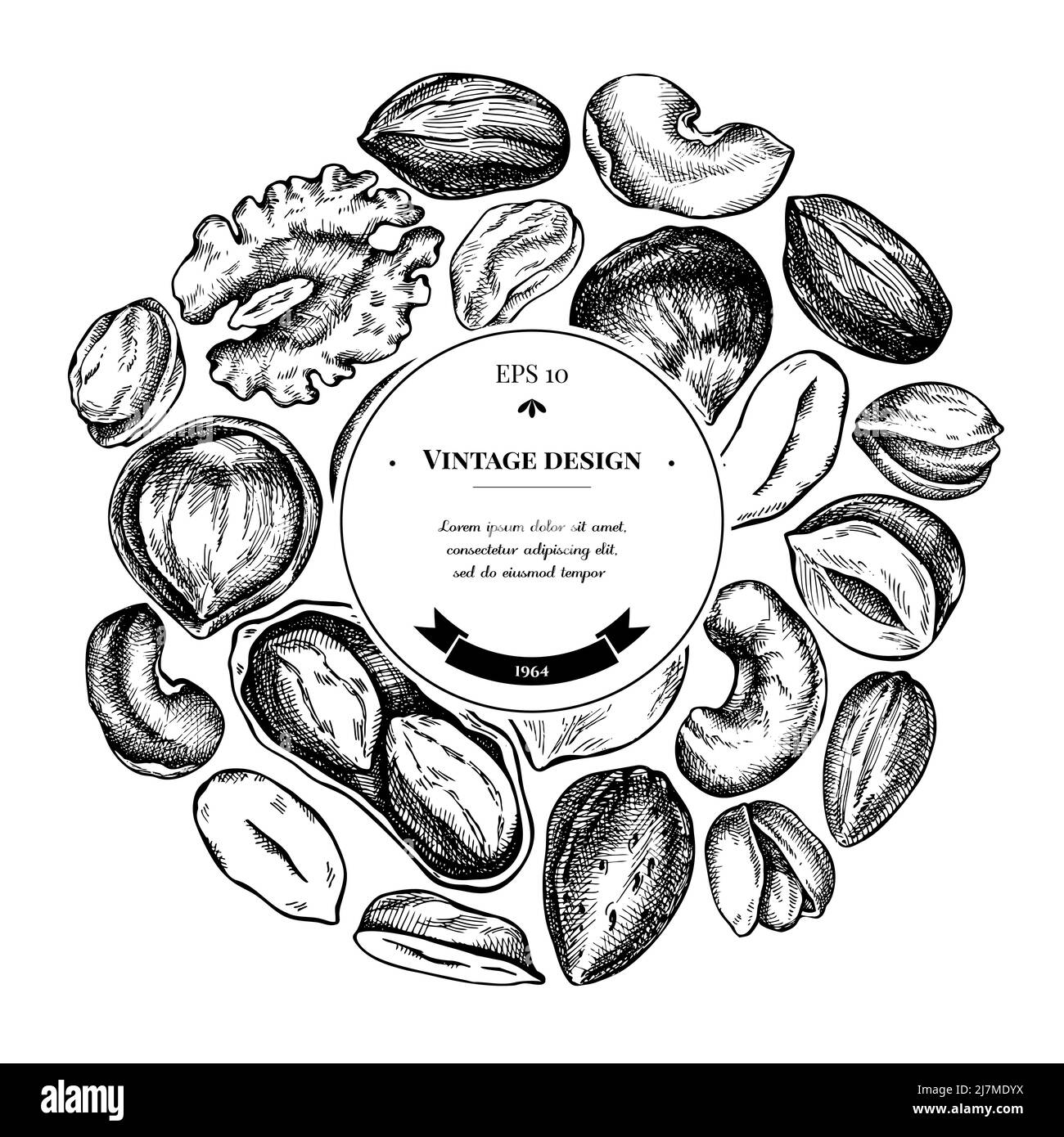 Round design with black and white cashew, peanut, pistachio, etc. Stock Vector